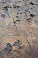 Traces dinosaure Emosson